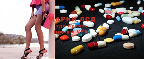 индика Костерёво