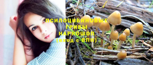 индика Костерёво