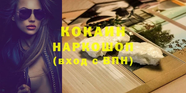 твердый Коряжма