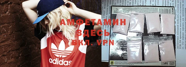 индика Костерёво