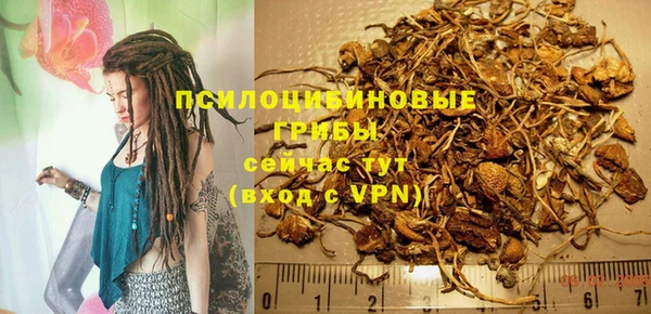 твердый Коряжма