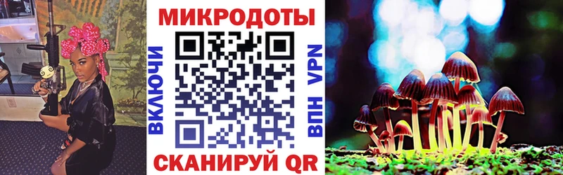 Купить закладки  Балаково  Галлюциногенные грибы Cubensis 